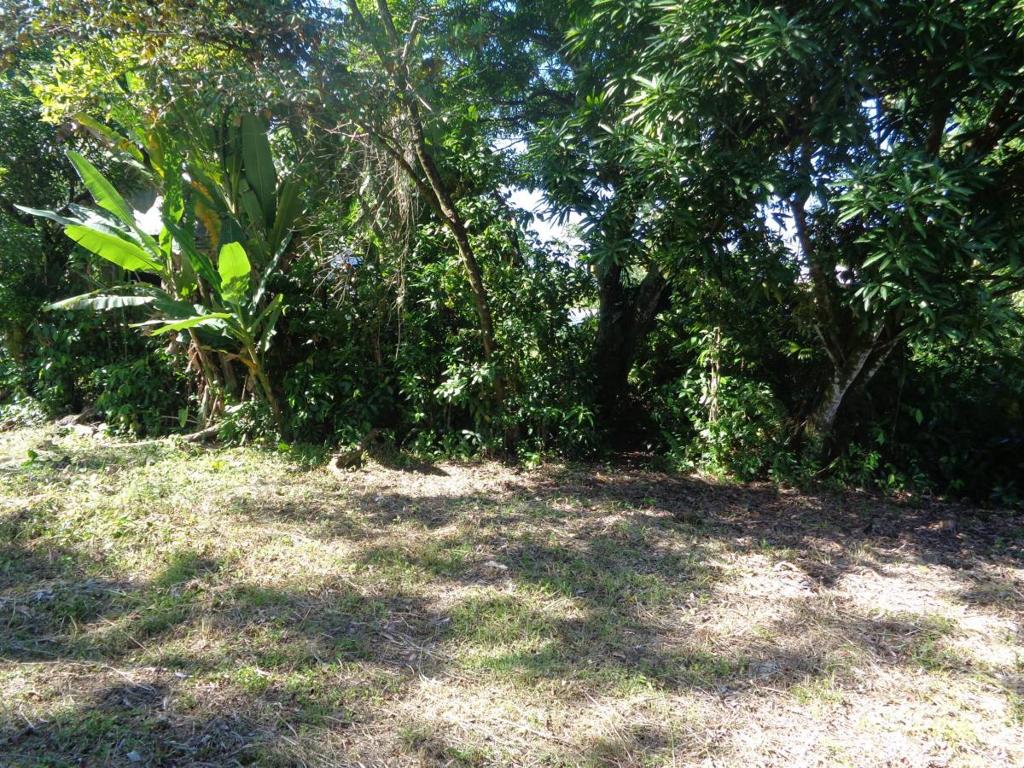 listing image with ID 81692