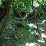 listing image thumbnail with ID 86746