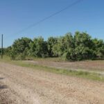 listing image thumbnail with ID 82396