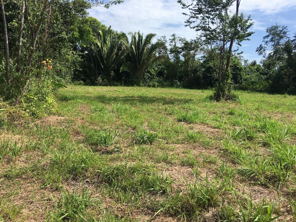 listing image with ID 84868