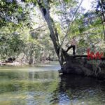 listing image thumbnail with ID 93976