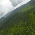 listing image thumbnail with ID 81231