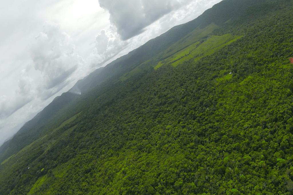 listing image with ID 81231