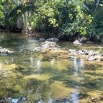 listing image thumbnail with ID 100895