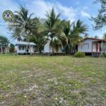 listing image thumbnail with ID 99840