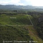 listing image thumbnail with ID 97119