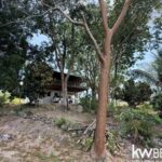 listing image thumbnail with ID 74290