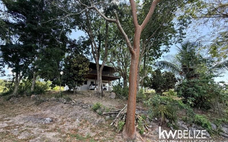 listing image with ID 74290