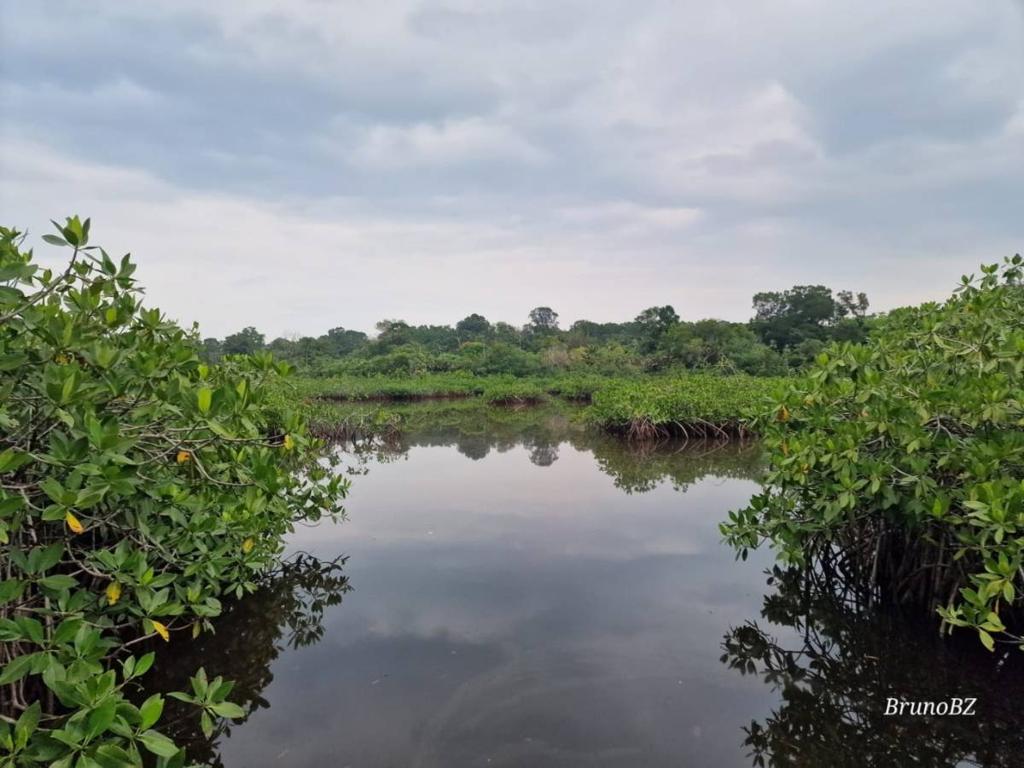 listing image with ID 105723