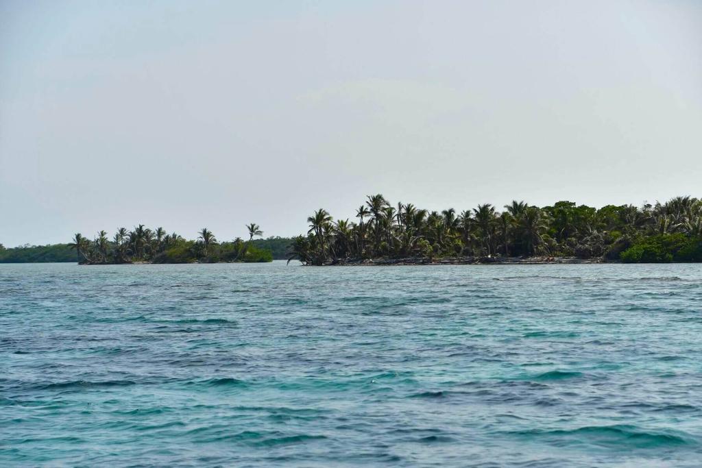 listing image with ID 104021