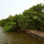 listing image thumbnail with ID 105743