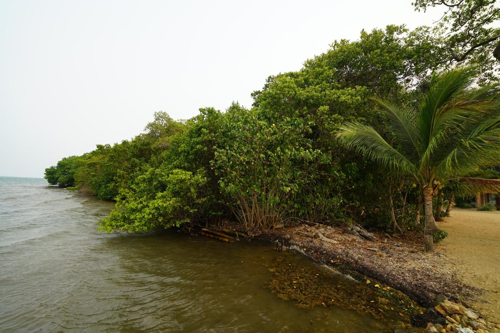 listing image with ID 105743