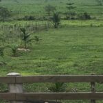 listing image thumbnail with ID 82261