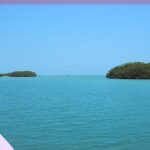listing image thumbnail with ID 87351