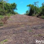 listing image thumbnail with ID 89994