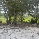 listing image thumbnail with ID 89104