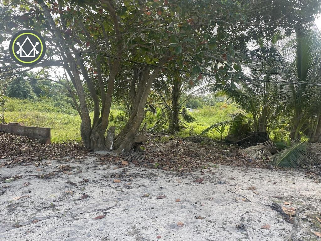 listing image with ID 89104