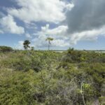 listing image thumbnail with ID 97551