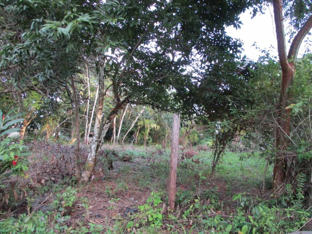 listing image with ID 104868