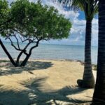 listing image thumbnail with ID 95256