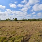 listing image thumbnail with ID 105571