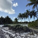listing image thumbnail with ID 100243