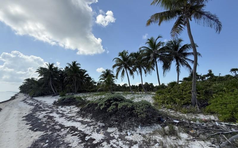 listing image with ID 100243