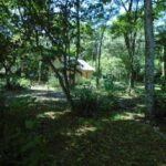 listing image thumbnail with ID 78538
