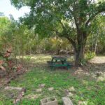 listing image thumbnail with ID 82044