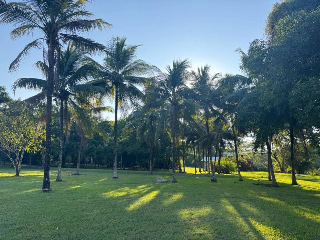listing image with ID 104408