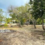 listing image thumbnail with ID 82217