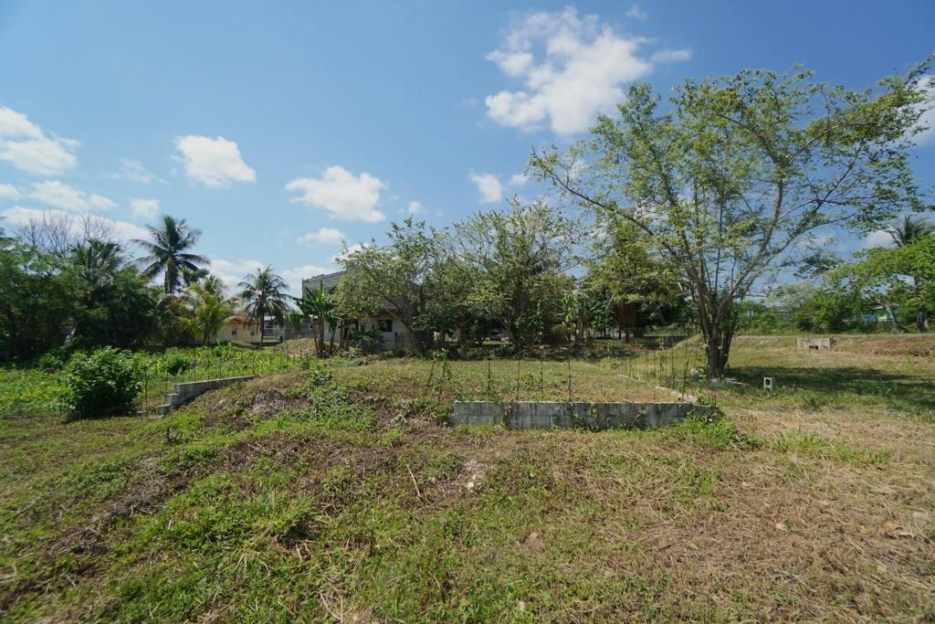 listing image with ID 84457
