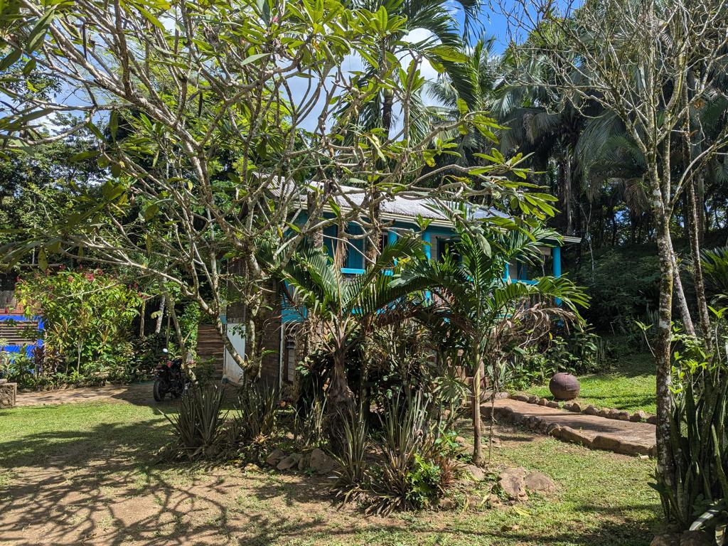 listing image with ID 97998