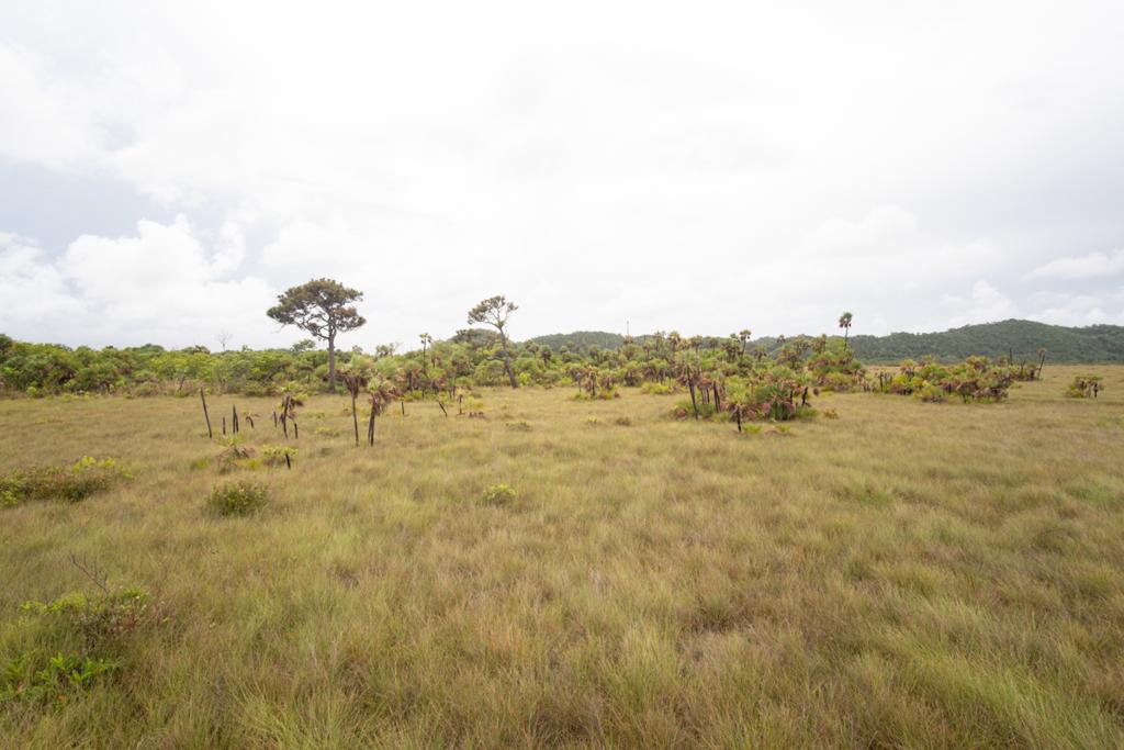 listing image with ID 99452