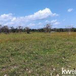listing image thumbnail with ID 102482
