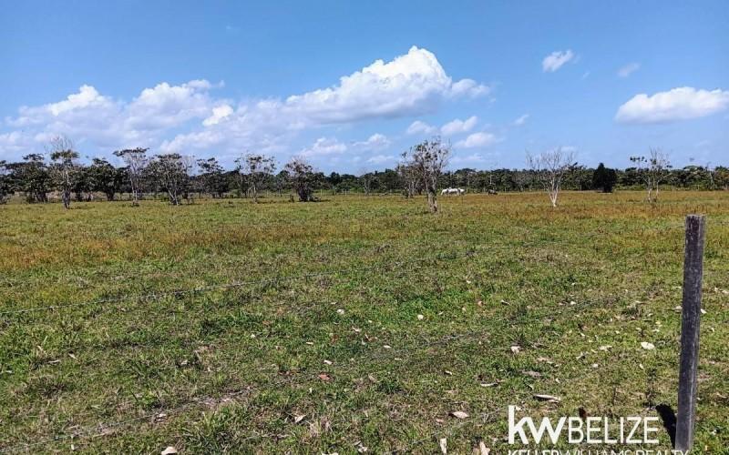listing image with ID 102482
