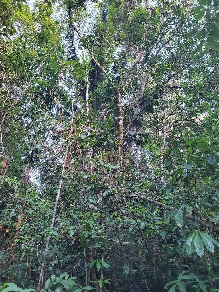 listing image with ID 78443