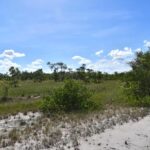 listing image thumbnail with ID 108605