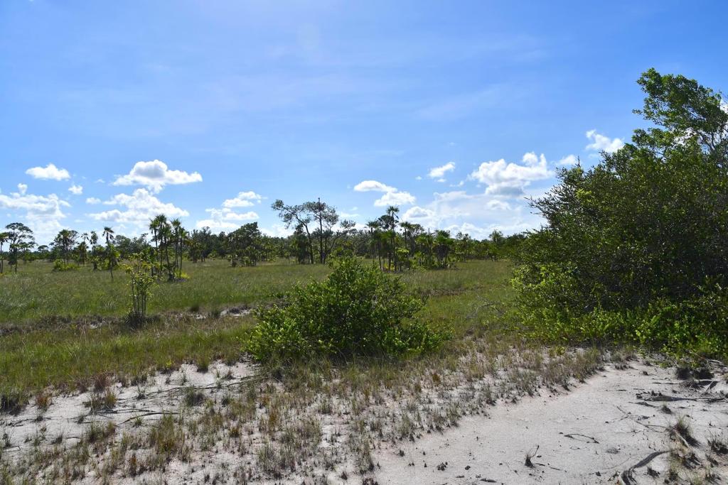 listing image with ID 108605