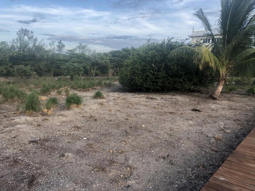 listing image with ID 94772