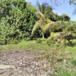 listing image thumbnail with ID 85525