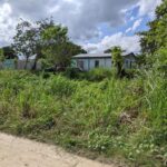 listing image thumbnail with ID 108449