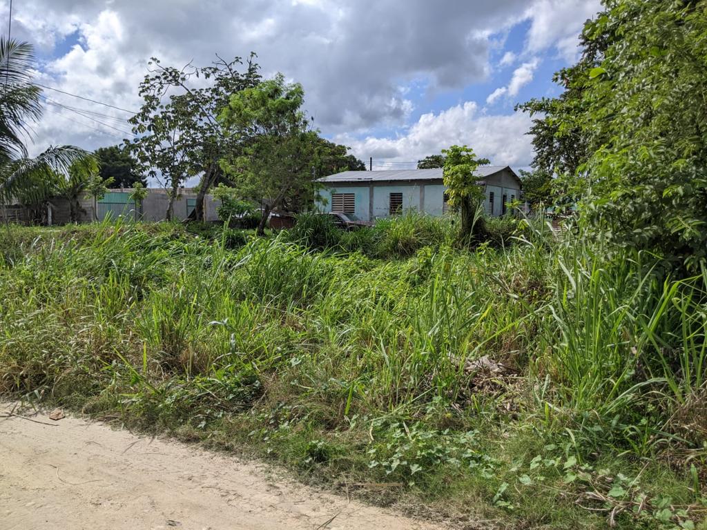 listing image with ID 108449