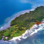 listing image thumbnail with ID 80287