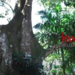 listing image thumbnail with ID 84564