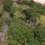 listing image thumbnail with ID 88496