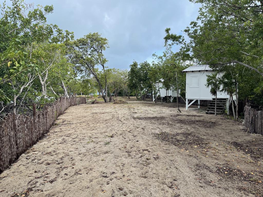 listing image with ID 78393