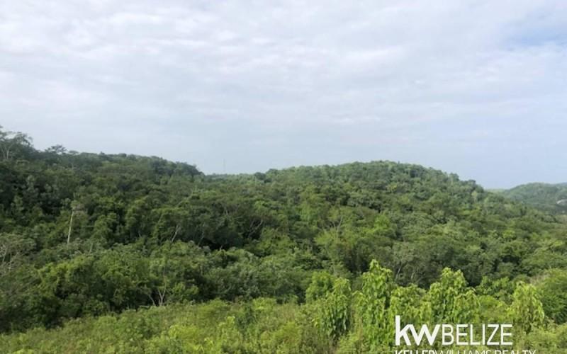 listing image with ID 92661