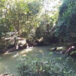 listing image thumbnail with ID 92272
