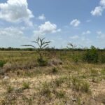 listing image thumbnail with ID 103233